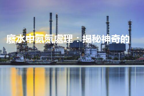廢水中氨氮處理：揭秘神奇的氨氮轉(zhuǎn)化術(shù)！